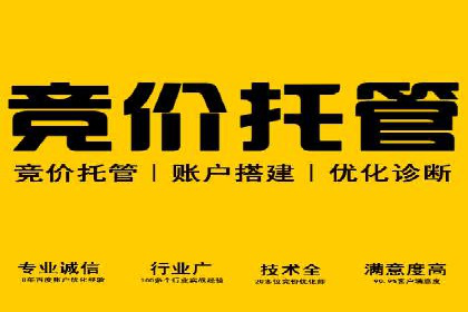 百度竞价与搜索引擎优化（SEO）结合的经典案例